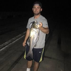 Meet your Posher, Austin